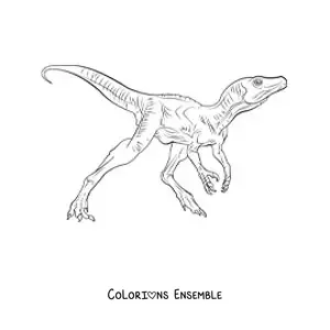 Image à colorier d’un petit dinosaure carnivore