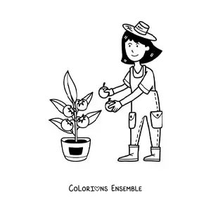 Coloriage d’une fermière kawaii qui récolte des tomates