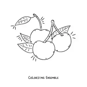 Image à colorier de trois cerises avec leurs feuilles