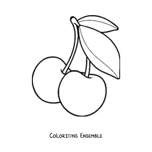 Image à colorier de deux cerises avec des feuilles