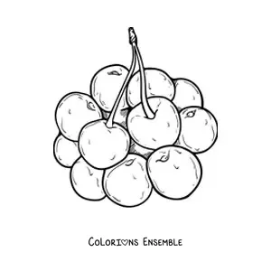 Image à colorier d'une grappe de cerises
