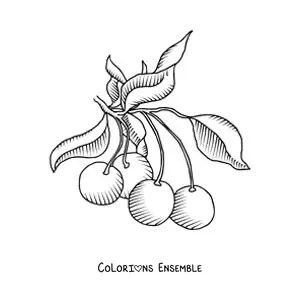Image à colorier d'une branche de cerisier avec plusieurs cerises