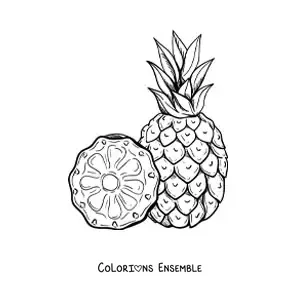 Image à colorier d'un ananas avec une tranche à côté