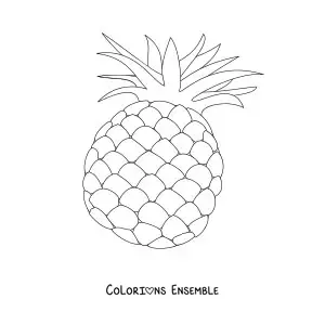 Image à colorier d'un ananas