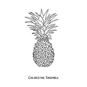 Image à colorier d'un ananas