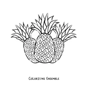 Image à colorier de trois ananas