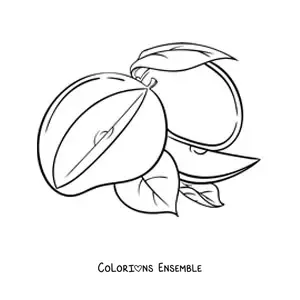 Image à colorier d'une mangue coupée en tranches