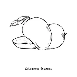 Image à colorier d'une mangue coupée avec une autre mangue entière