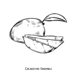 Image à colorier d'une mangue coupée avec une mangue entière au fond