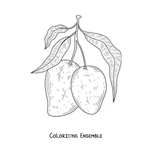 Image à colorier d'une branche de manguier avec deux mangues qui pendent