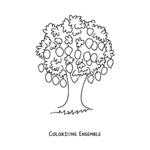 Image à colorier d'un manguier