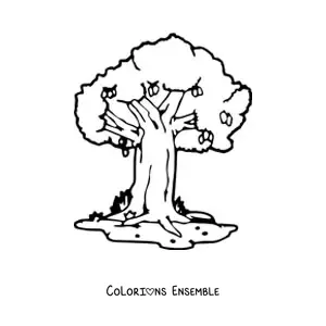 Image à colorier d'un manguier