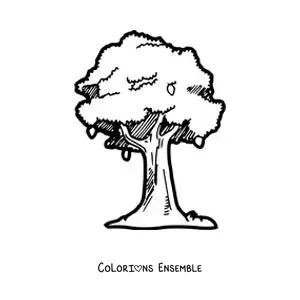 Image à colorier d'un manguier