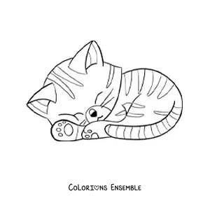 Coloriage d'un chat kawaii rayé qui dort