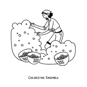 Image à colorier d’une fille qui cueille des fruits dans un champ