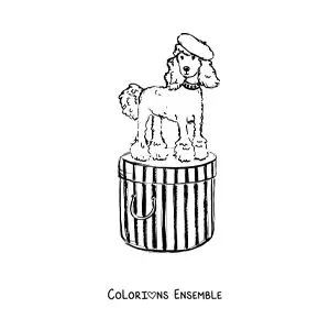 Image à colorier d'un chien caniche