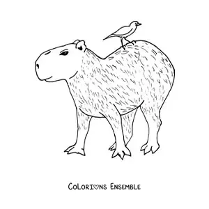 Image à colorier d’un capybara animé