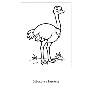 Coloriage d'une autruche simple pour les petits