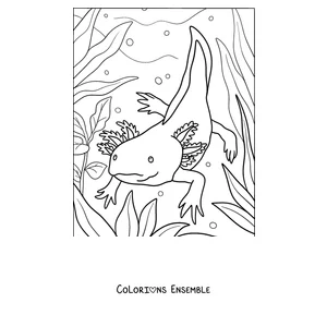 Coloriage d'un axolotl adulte nageant parmi de hautes algues