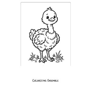 Coloriage d'un bébé autruche tout doux