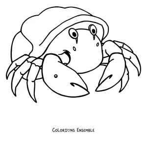 Coloriage d'un bernard-l'ermite dans son coquillage