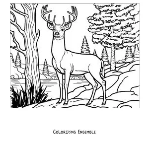 Coloriage d'un cerf adulte au bord de la rivière