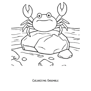 Coloriage d'un crabe sur un rocher au bord de l'eau