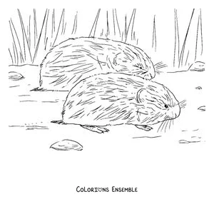 Coloriage de deux lemmings dans l'herbe de la toundra