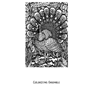 Coloriage d'une dinde aux plumes pleines de motifs