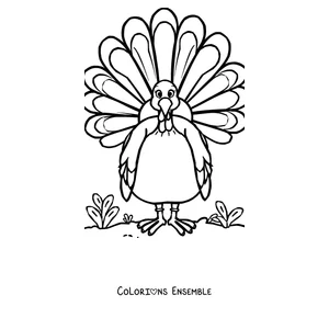 Coloriage d'une dinde avec la queue de plumes bien déployée