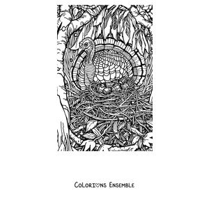 Coloriage d'une dinde réaliste debout dans l'herbe