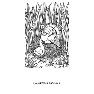 Coloriage d'une dinde réaliste marchant dans l'herbe