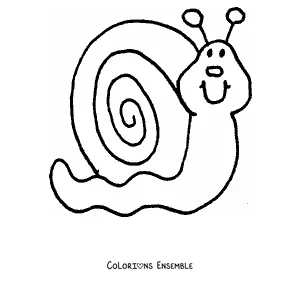 Coloriage d’un escargot dodu avec une coquille ronde