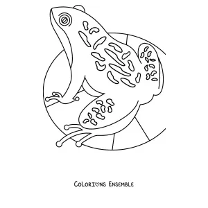 Coloriage d'une grenouille à motifs de mandala sur un nénuphar