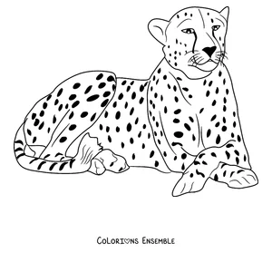 Coloriage d'un guépard allongé en train de se reposer