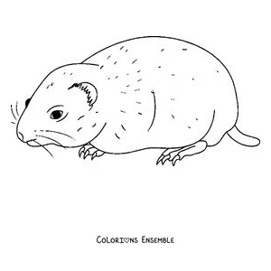 Coloriage d'un lemming qui marche de profil