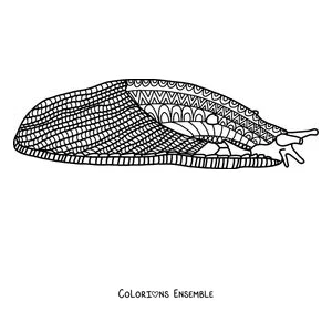 Coloriage d'une limace couverte de motifs pour se détendre