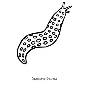 Coloriage d'une limace léopard couverte de taches