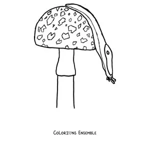 Coloriage d'une limace posée sur un champignon à taches
