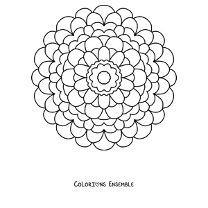 Coloriage d'un mandala de printemps en forme de dahlia rond à nombreux pétales