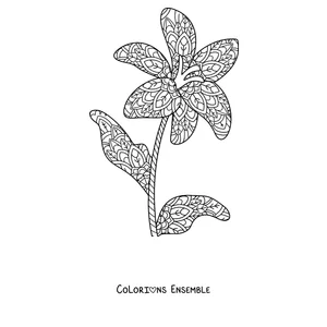 Coloriage d'un mandala de printemps en forme de lys avec des feuilles et des motifs
