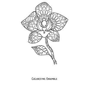 Coloriage d'un mandala de printemps en forme d'orchidée aux pétales décorés