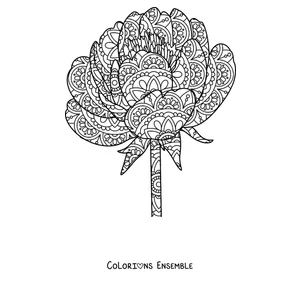 Coloriage d'un mandala de printemps en forme de pivoine remplie de pétales détaillés