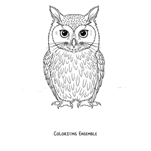 Coloriage d'un Meowl majestueux aux grands yeux