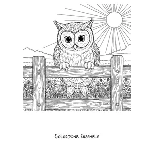 Coloriage d'un Meowl perché sur une clôture au soleil
