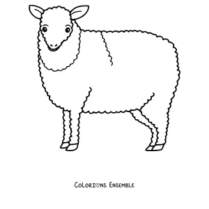 Coloriage de mouton laineux de profil