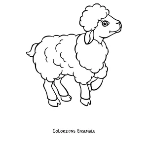 Coloriage de mouton qui marche tout content