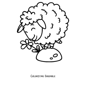 Coloriage de mouton qui sent une fleur