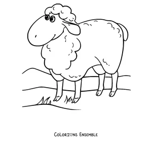 Coloriage de mouton debout sur la colline
