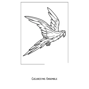 Coloriage d'un perroquet volant les ailes grand ouvertes